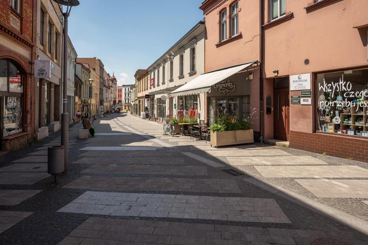 Platinum 29 Apartment Rybnik (Silesia)
